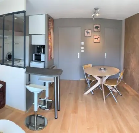 Appartement Boost Your Immo Les 2 Alpes La Vallée Blanche 159